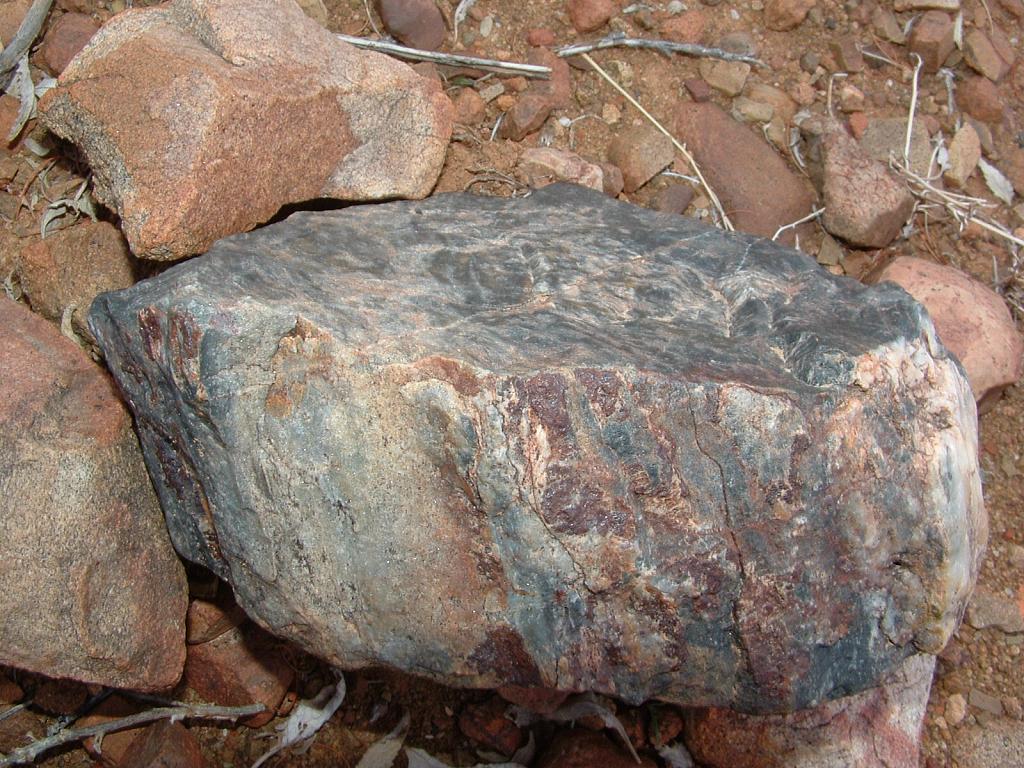 petrifiedwood2107.jpg