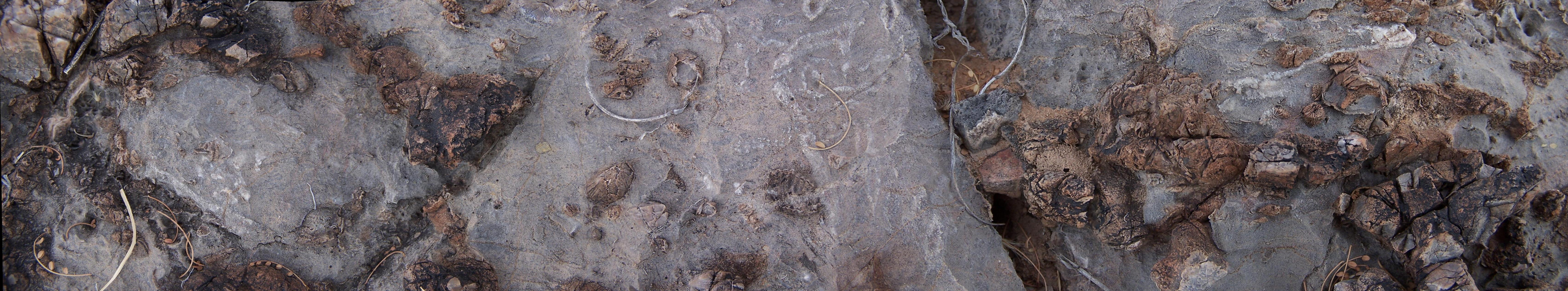 large image